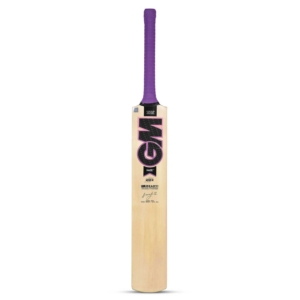 GM Haze 202 Kashmir Willow Cricket Bat