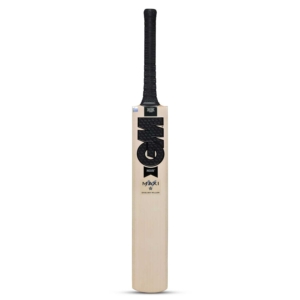 GM Noir Maxi English Willow Cricket Bat