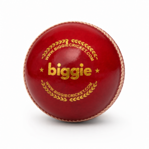SW Biggie Red Cricket Balls (Pack of 6) | Premium Leather Practice & Match Balls